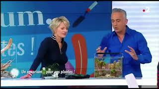 Des Aquariums Aquarilis Dans Lémission Cest Au Programme Sur France 2