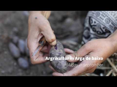 Agricultur in Arga de Baixo