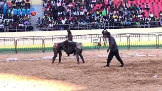 Combat Boye Bordeaux Vs Zargo