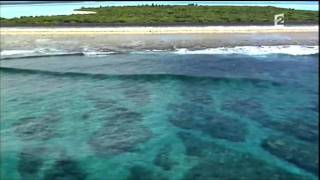 EXTRAIT SUR LA TERRE NOUVELLE CALEDONIE