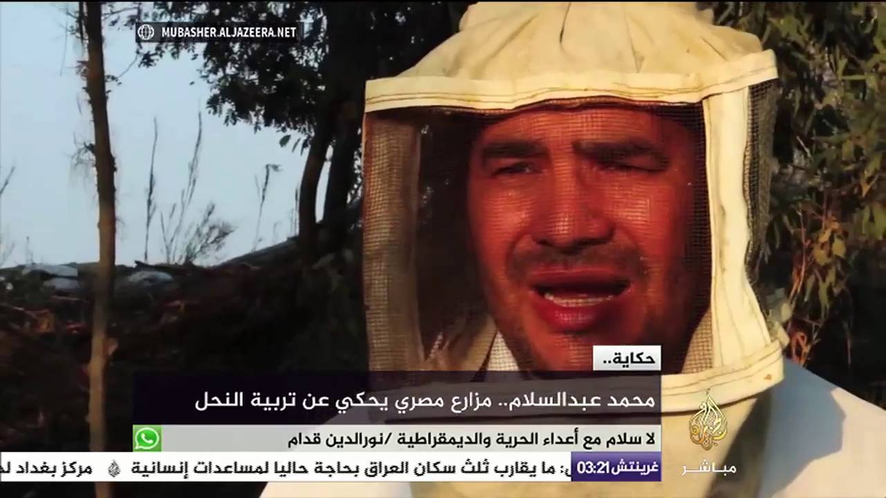 حكاية .. محمد عبد السلام .. مزارع مصري يحكى عن تربية النحل