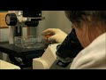 A Look inside the Lab: Microscopes - Vaccine Makers Project