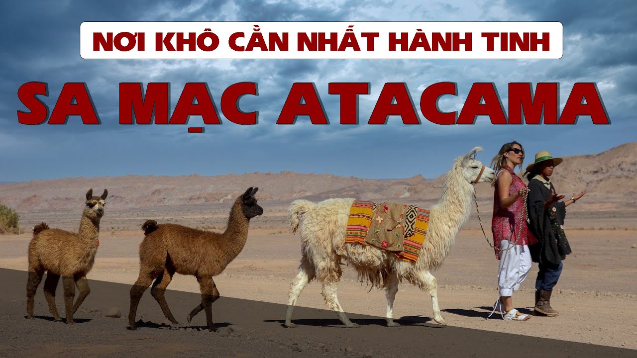 TOÀN CẢNH SA MẠC ATACAMA | NƠI KHÔ CẰN NHẤT HÀNH TINH | 99% chưa biết ...