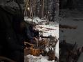 雪山で野営！(身の危険を感じる氷点下)