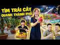 MiMi, Mẹ Huế Thử Thách Tìm Ăn Tất Cả Các Loại Trái Cây Quanh Thành Phố - Bố Hoàng Ăn Chanh ?