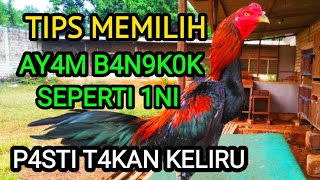 Tips Memilih Daging Ayam Yang Segar | Ciri-ciri Ayam Gak Layak Konsumsi. 