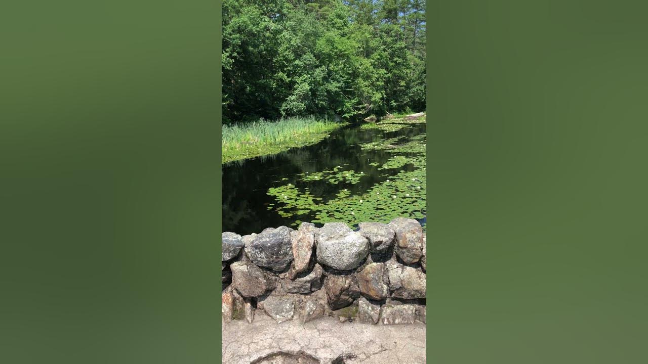 Another View of Hopedale Pond shorts ponds YouTube
