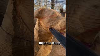 Carving a life sized dog out of a giant piece of wood with a chainsaw! ๐ฎ๐ - ๐ฅ michaeljonescs Carving a life sized dog out of a giant piece of wood with a chainsaw! ๐ฎ๐ - ๐ฅ michaeljonescs