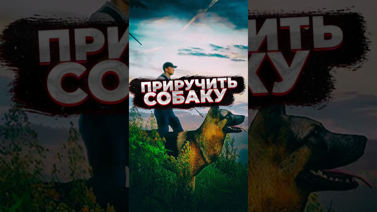 Как приучить собаку куском мяса в Arma 2 Dayz Epoch