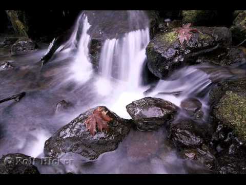 من دلائل عظمة الله 0001 Youtube