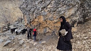 A Home Inside the Cave 🪨🏡 | Building a Stone Shelter for Livestock 🐄