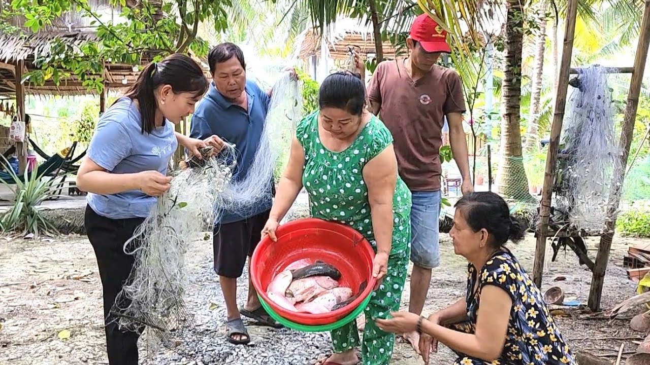 Mẹ Chồng Đi Chợ Về Bất Ngờ Thấy Con Dâu Giăng Lưới Dính Cá Rô Đồng Thấy Mà Ham | BQCM & Family T642