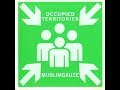 Muslimgauze  occupied territories 1996 full album