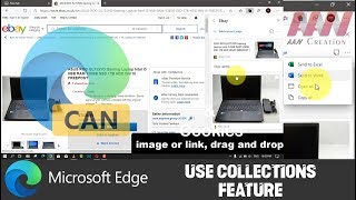 how to use collections feature in microsoft edge canary
