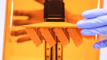 Timelapse of 3D Printing Dental Models on Zortrax Inkspire Resin 3D Printer