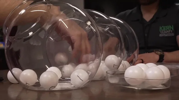 The importance of a post-election audit