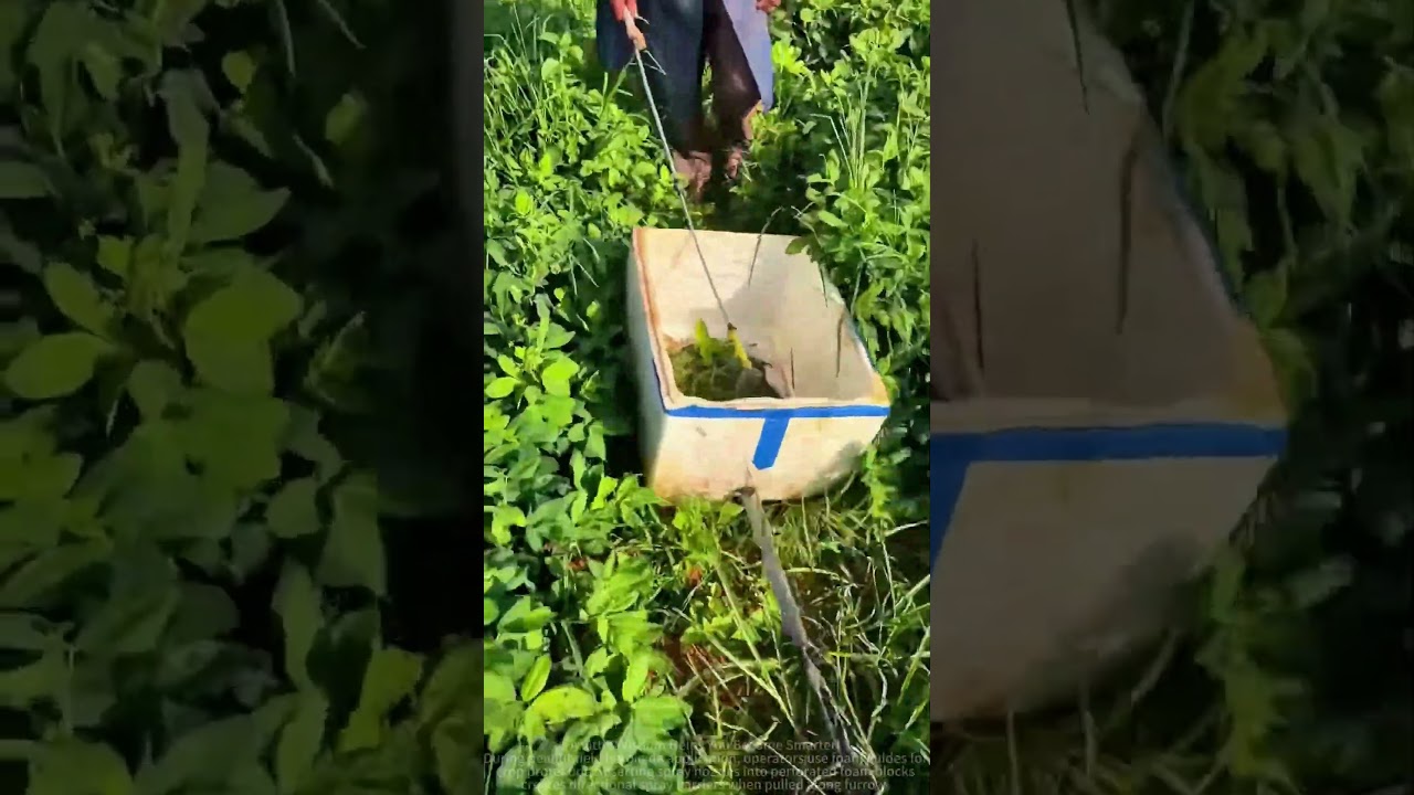Precise application method of peanut herbicide