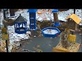 LIVE Bird &amp; Squirrel bird feeder cam Ohio #nuthatch #tuftedtitmouse #carolinawren #finch #chickadee