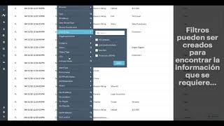 Demo: Filtros de Skope IT