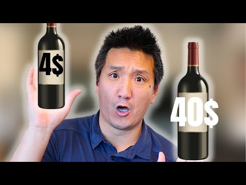 CHEAP vs. EXPENSIVE CABERNET SAUVIGNON Red Wine | Is There A Difference?