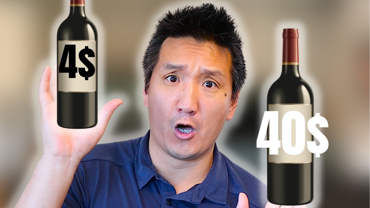 CHEAP vs. EXPENSIVE SAUVIGNON Red Wine Is There A Difference