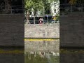 🐥🌉 Yellow Ducks Reach Pont des Trous in Tournai 🇧🇪 Drums, Music and Festival Joy 🐥🥁