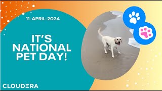 National Pet Day