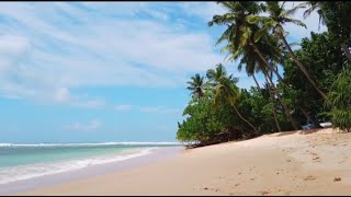 Net Music - Point Being - Go By Ocean _ Ryan McCaffrey