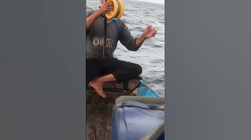 #83 nghề câu cá nục trên biển Đông #shorts