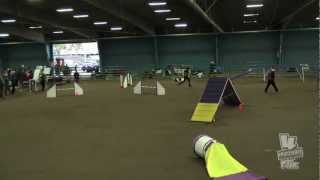 Quinlannovice Standardagility Akc Dec 2012.Mp4