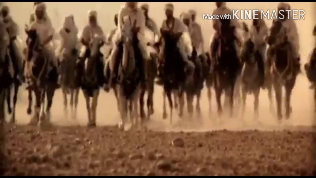 شيلة المنابهه/مونتاج فيصل الفقير.