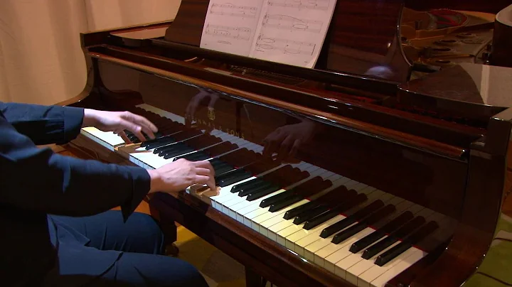 The Japanese Koto - Christopher Lee Goldston