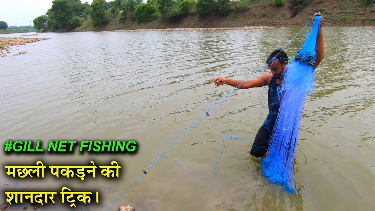 Best Gill Net Fishing Trick | इस ट्रिक से मछली को पकड़ा तो कभी भी नदी से खाली हांथ नहीं लोटोगे [2K]