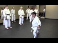 Rick Hotton Karate Seminar 05