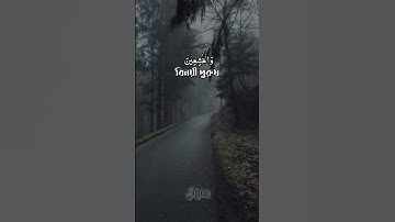 সূরা আহযাব আয়াত ৫৩ | Surah Al Ahzab | سورة الأحزاب