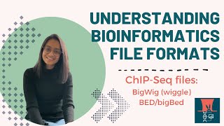Understanding File Formats in Bioinformatics: ChIP-Seq files - BigWig (Wiggle) and BED/bigBed