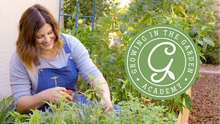 Growing in the Garden Academy: Learn How to Grow Your Own Food
