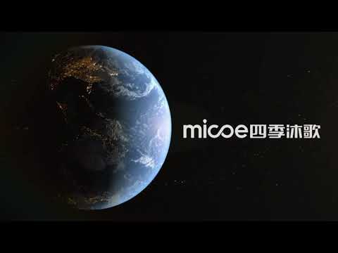 Micoe Handan Production Base