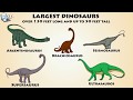 Video Tutorial Quiz