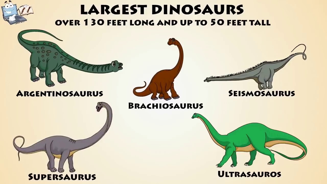 Learn about Dinosaurs || Dinosaur || Dinosaur Facts || Lesson for Kids -  YouTube