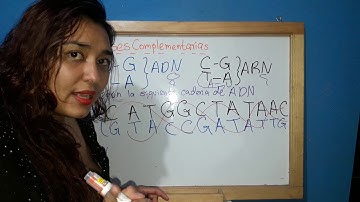 Cadena complementaria para ADN y ARN