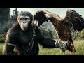 KINGDOM OF THE PLANET OF THE APES Trailer Teaser + Updates (2024)