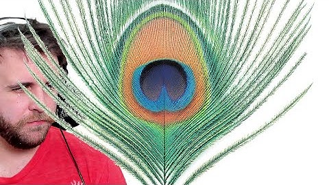 SONG REACTION: XTC — Easter Theatre