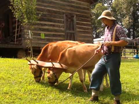 Mountain Heritage Festival, Blairsville, Georgia