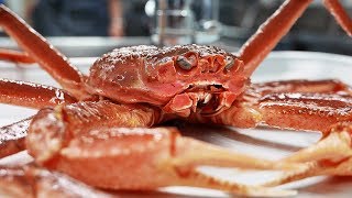 Korean Street Food - GIANT SNOW CRAB Seafood Seoul Korea