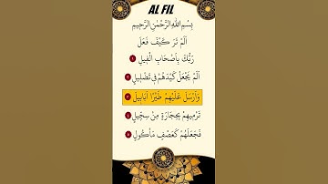 ماهر المعيقلي - سورة الفيل