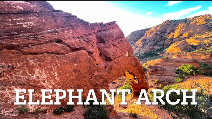 Elephant Arch