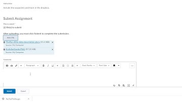 Brightspace (Desire to Learn / D2L) Dropbox Submissions