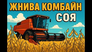 картинка: жнива вересень 2025. сорт абі.