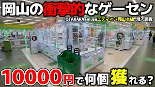 [Crane Game] The Shocking Arcade I Found in Okayama! How Many Can I Win with 10,000 Yen? [OTAKARA... screenshot 5